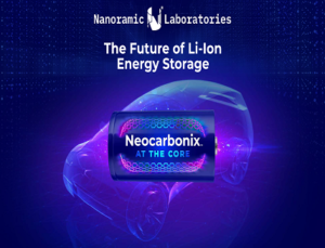 Nanocarbon Electrode Technology