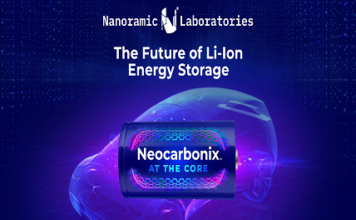 Nanocarbon Electrode Technology