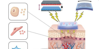 piezoelectric nanogenerators