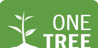 One Tree Planted