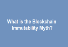 Blockchain Immutability Myth