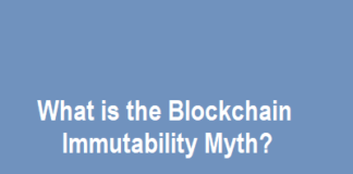 Blockchain Immutability Myth