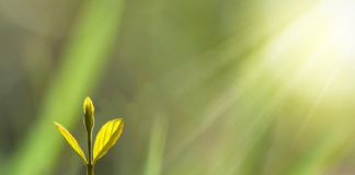 Researchers are looking for sustainable options, such as recyclable materials or biomass, to substitute the constituent materials in composites which are used in various applications including electrical and information technologies.
