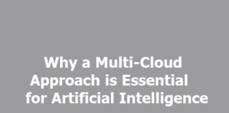 Multi-Cloud Strategy for AI