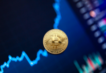 3 tips for best crypto investors – Crypto Trading Market Crypto Trading Market