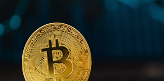 Bitcoin Investors
