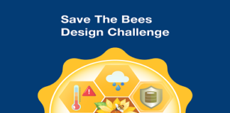Save The Bees Design Challenge