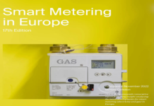 Smart Electricity Meter