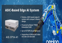 ASIC-Based Edge AI System