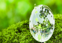 NEC & SINAI Technologies Collaborate to Create Pathways to Decarbonization Decarbonization