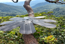 Infineon & Rainforest Connection use Sensor Technology for Protecting the Rainforest Sensor Technology