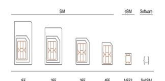 Software SIM for Cellular IoT