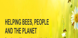 Campaign to Save Bees