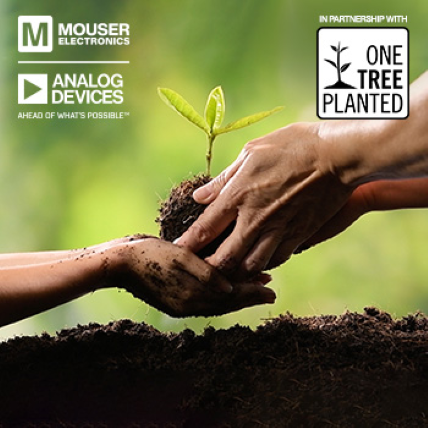 one tree planted