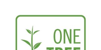 Reforestation