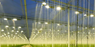 greenhouse heating systems