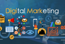 The Top Ways That a Digital Marketing Agency Can Help Grow Your Business In NZ Digital Marketing