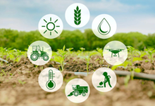 IoT in Agriculture