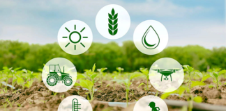IoT in Agriculture