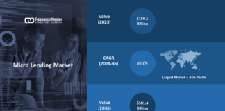 Micro Lending Market