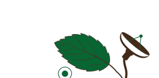 GERMINAL
