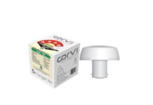 Corvi 6W bulb