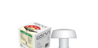 Corvi 6W bulb