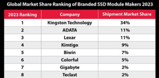 Kingston Technology #1 SSD Market Share