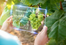 Smart Agriculture
