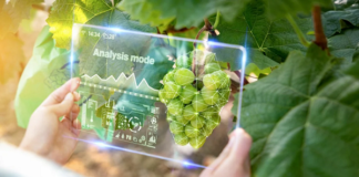 Smart Agriculture