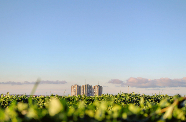 Leveraging IoT and AI for Sustainable Urban Infrastructure: A Pathway to Greener Cities Sustainable Urban Infrastructure