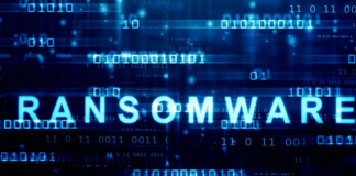Ransomware 2024 report