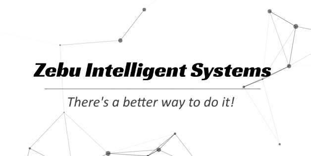 Zebu Intelligent Systems