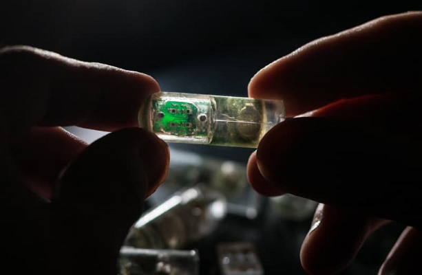 Ingestible Sensors