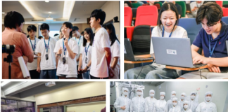 Summer Programs in Chip Design