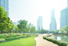 NEC and e& Sign MoU to Drive Joint Sustainability Initiatives Sustainability