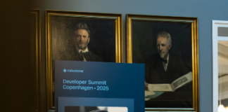 Milestone DS by Karol Truszynski