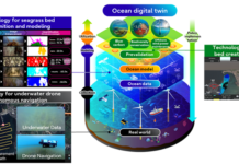 Ocean digital twin