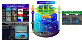 Ocean digital twin