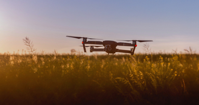 Farm Different Farm Different