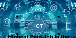 Highest Paid Job in IoT Sector