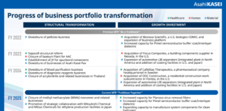 lead battery separator business