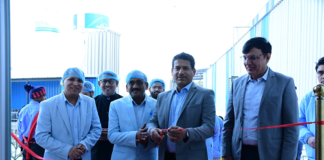 Fujiyama Power Systems Limited Dadri Plant