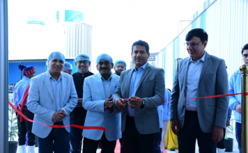 Fujiyama Power Systems Limited Dadri Plant
