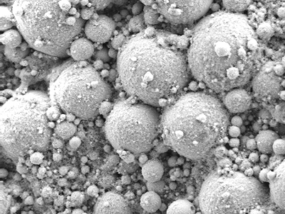 Living metal Living metal