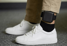 electronic offender monitoring