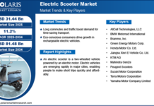 Electric Scooter Market