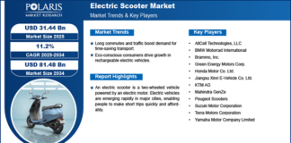 Why is the Electric Scooter Market Booming Right Now? Electric Scooter Market
