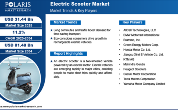 Why is the Electric Scooter Market Booming Right Now? Electric Scooter Market
