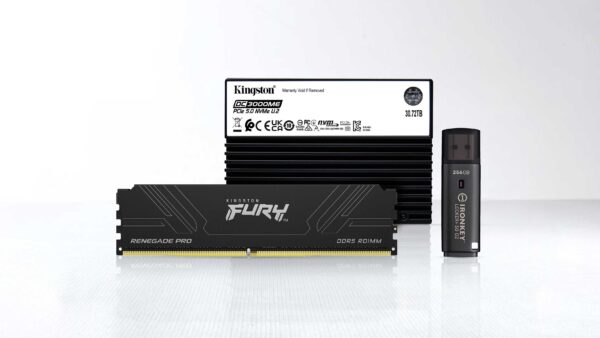 Press Photo_Kingston High-Performance Portfolio Kingston FURY Renegade Pro DDR5 RDIMM